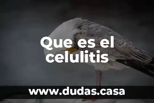Que es el celulitis