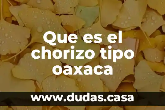 Que es el chorizo tipo oaxaca