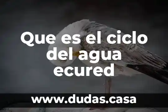 Que es el ciclo del agua ecured