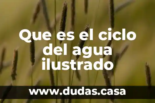 Que es el ciclo del agua ilustrado