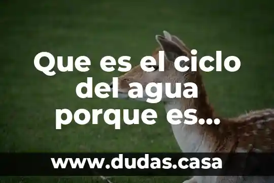 Que es el ciclo del agua porque es indispensable