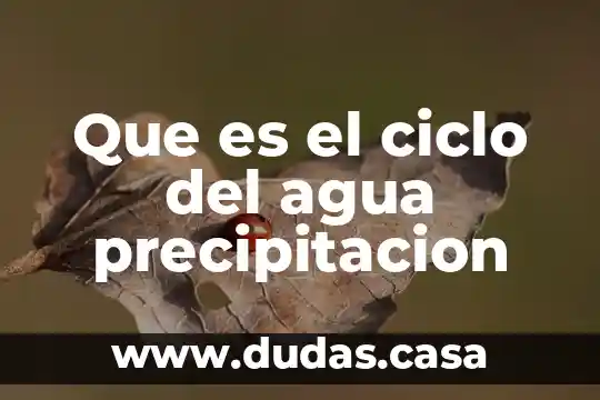 Que es el ciclo del agua precipitacion