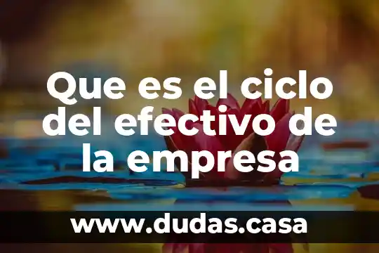 Que es el ciclo del efectivo de la empresa