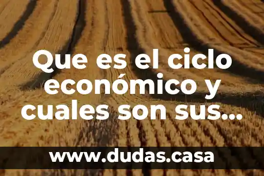 Que es el ciclo económico y cuales son sus son sus fases