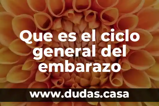 Que es el ciclo general del embarazo