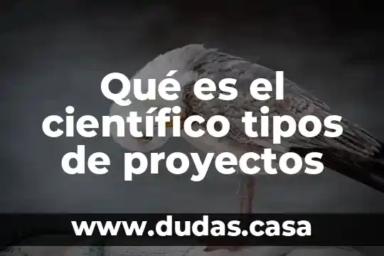 Qué es el científico tipos de proyectos