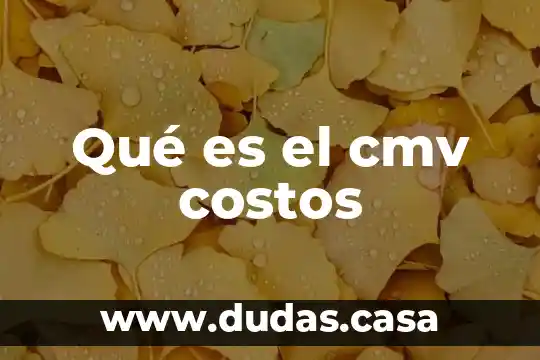 Qué es el cmv costos
