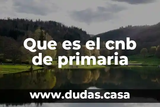 Que es el cnb de primaria