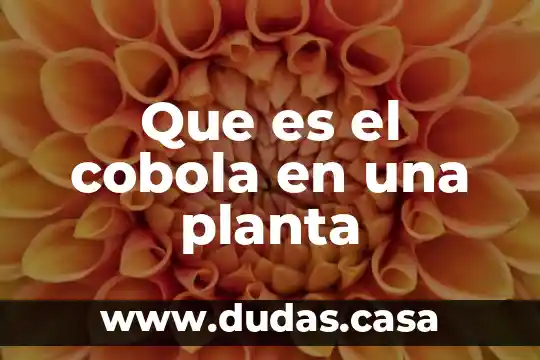 Que es el cobola en una planta