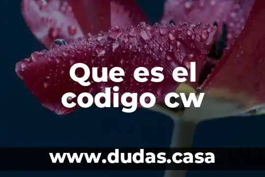 Que es el codigo cw