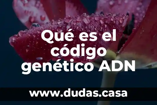 Qué es el código genético ADN