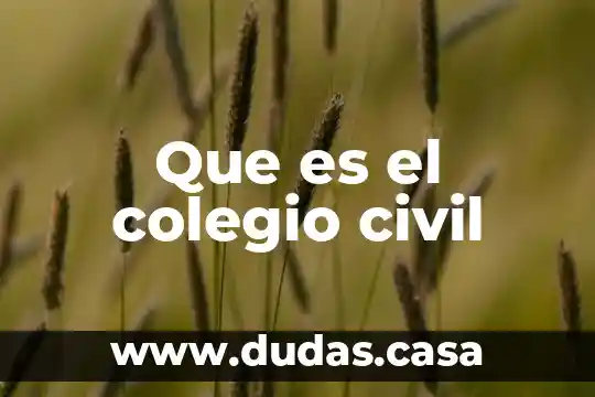 Que es el colegio civil