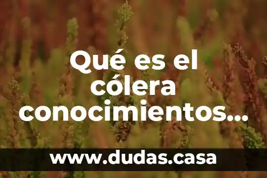 Qué es el cólera conocimientos previos
