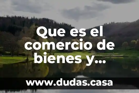 Que es el comercio de bienes y servicios