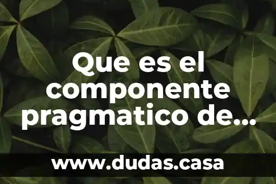Que es el componente pragmatico de un texto