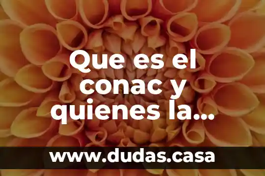 Que es el conac y quienes la integran