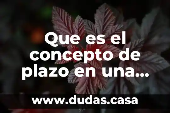 Que es el concepto de plazo en una transferencia banamex