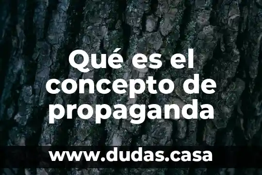 Qué es el concepto de propaganda