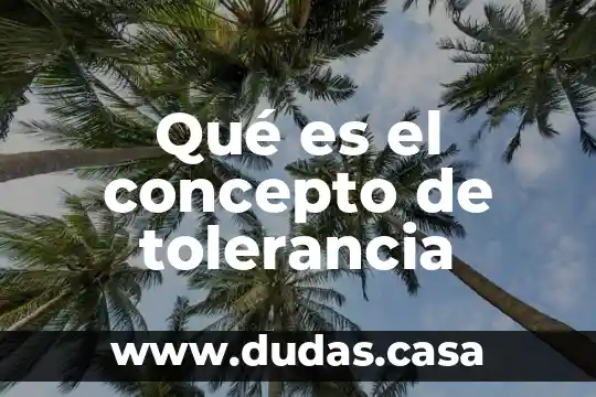 Qué es el concepto de tolerancia