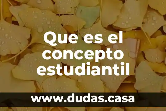 Que es el concepto estudiantil