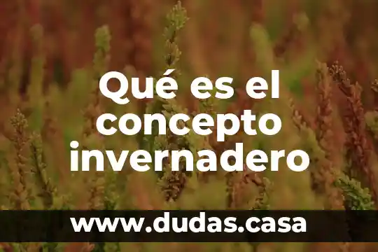Qué es el concepto invernadero