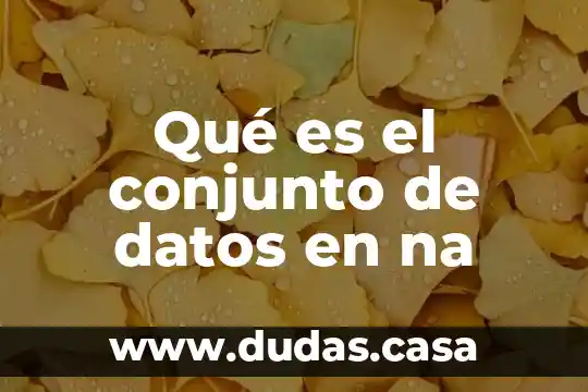 Qué es el conjunto de datos en na