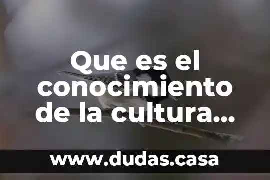 Que es el conocimiento de la cultura letrada
