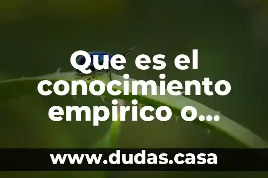 Que es el conocimiento empirico o vulgar