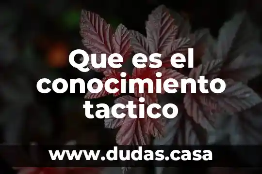Que es el conocimiento tactico