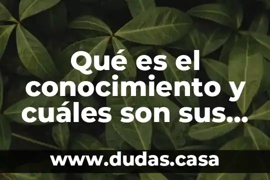 Qué es el conocimiento y cuáles son sus elementos