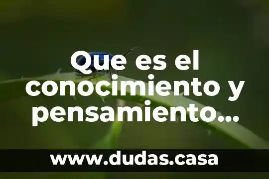 Que es el conocimiento y pensamiento cientifico
