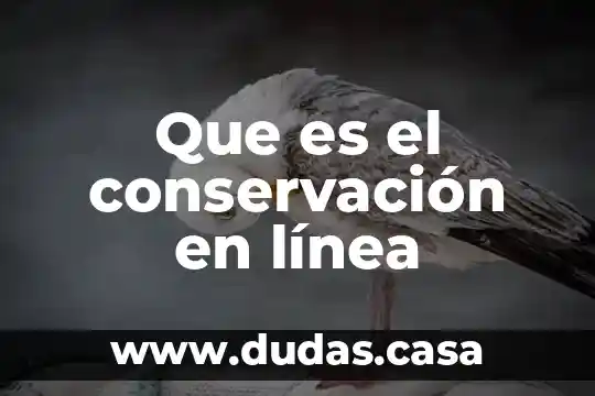 Que es el conservación en línea