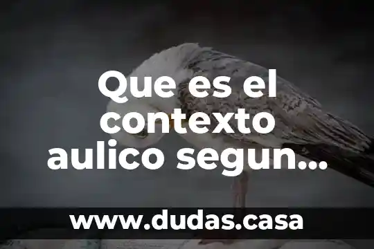 Que es el contexto aulico segun autores