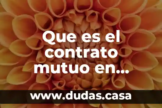 Que es el contrato mutuo en mexico