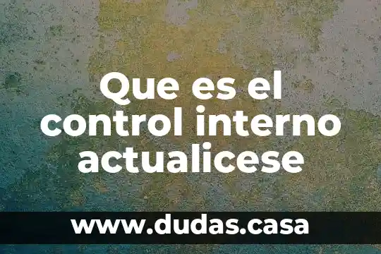 Que es el control interno actualicese
