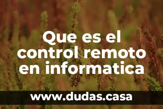Que es el control remoto en informatica