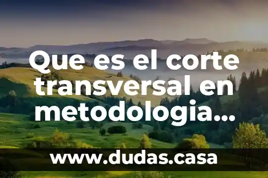 Que es el corte transversal en metodologia de la investigacion