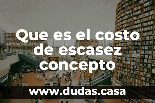 Que es el costo de escasez concepto