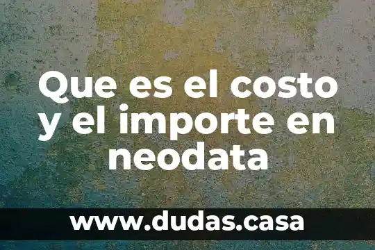Que es el costo y el importe en neodata