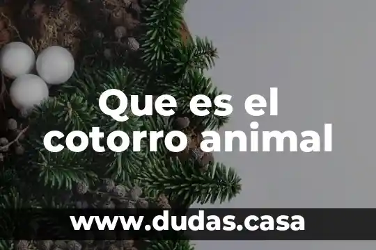 Que es el cotorro animal