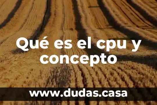 Qué es el cpu y concepto