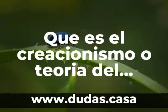 Que es el creacionismo o teoria del diseño inteligente