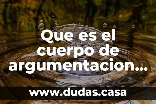 Que es el cuerpo de argumentacion d un texto