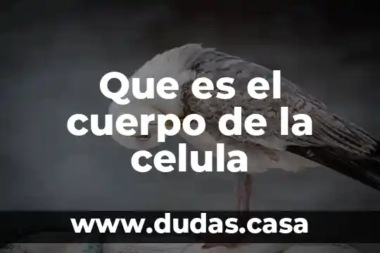 Que es el cuerpo de la celula