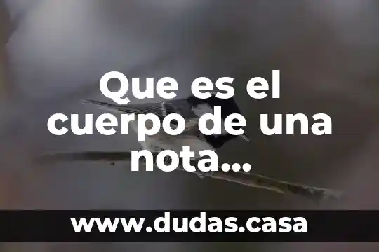 Que es el cuerpo de una nota informativa