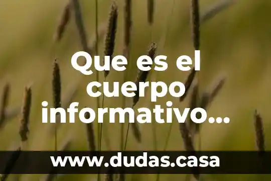 Que es el cuerpo informativo nota informativa