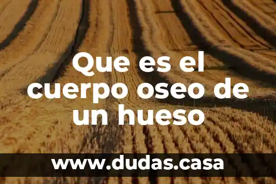 Que es el cuerpo oseo de un hueso