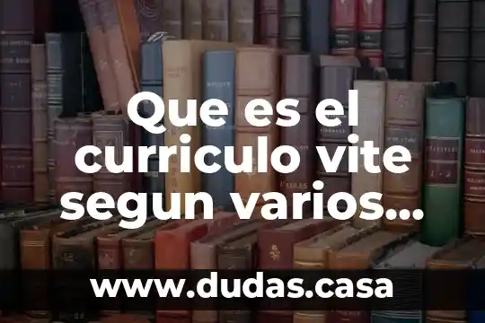 Que es el curriculo vite segun varios autores