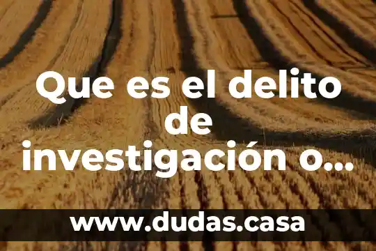 Que es el delito de investigación o ayuda al suicidio