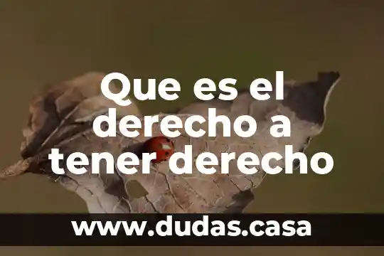 Que es el derecho a tener derecho